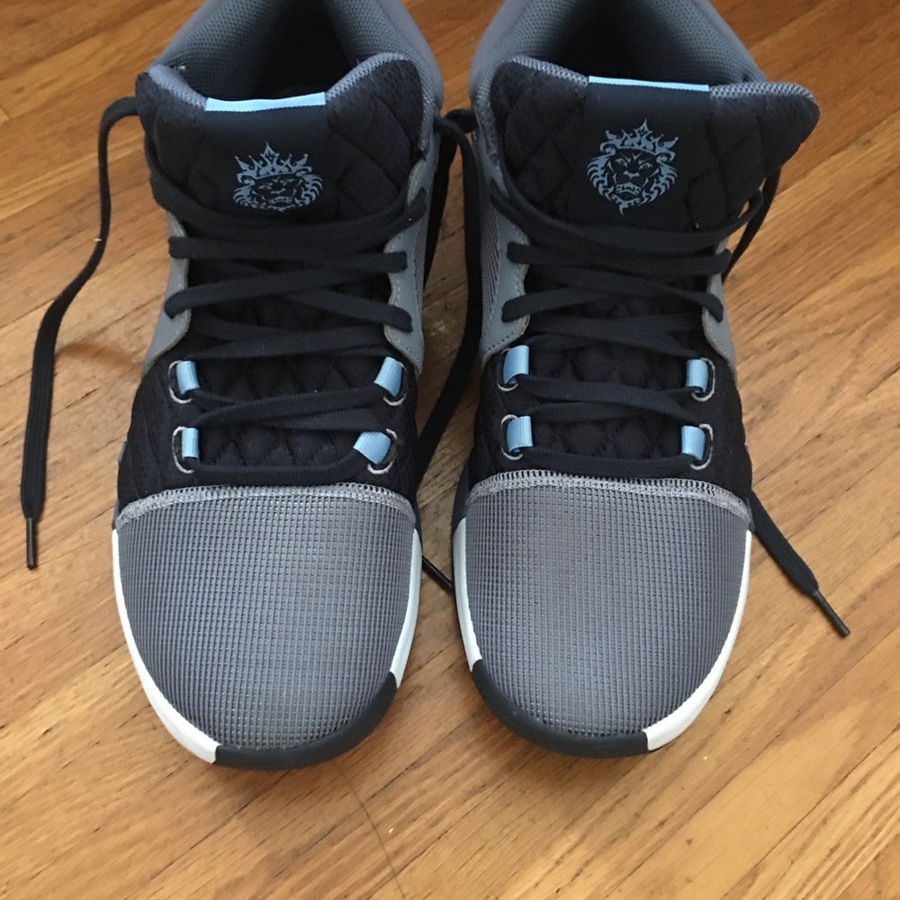 LeBron James Nike High Tops